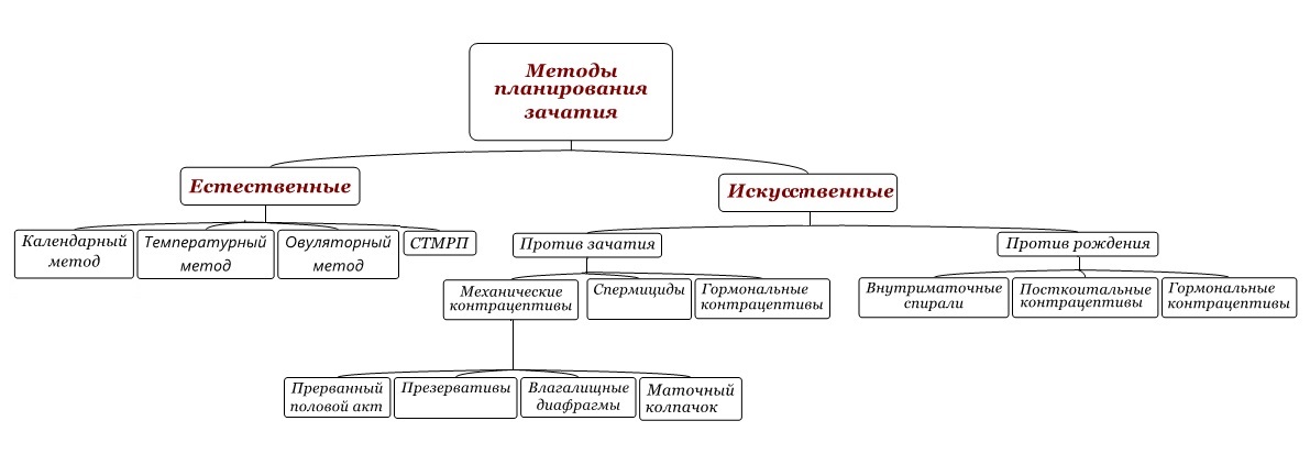 План по оплодотворению